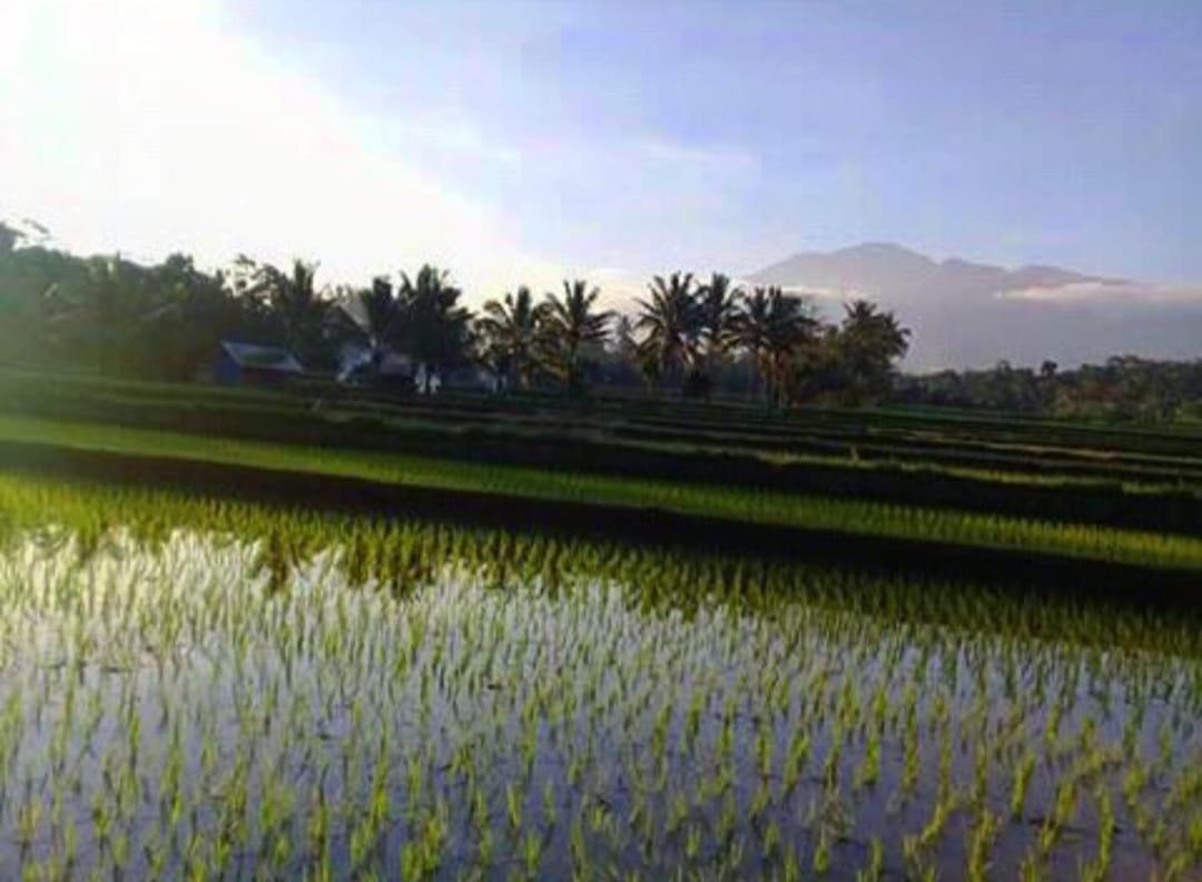 Sky Garden Lombok Διαμέρισμα Tetebatu Εξωτερικό φωτογραφία