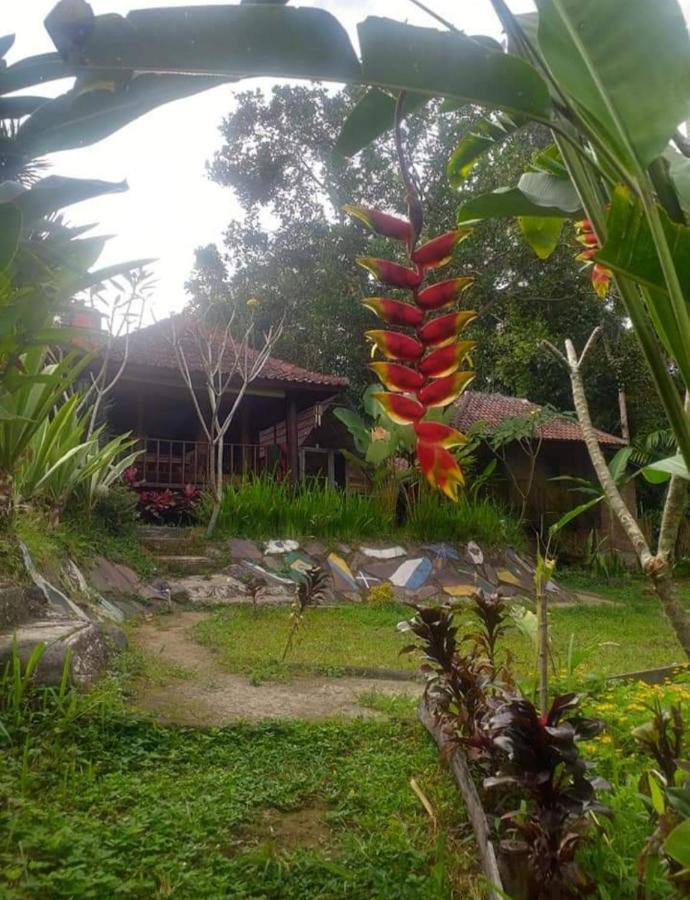 Sky Garden Lombok Διαμέρισμα Tetebatu Εξωτερικό φωτογραφία