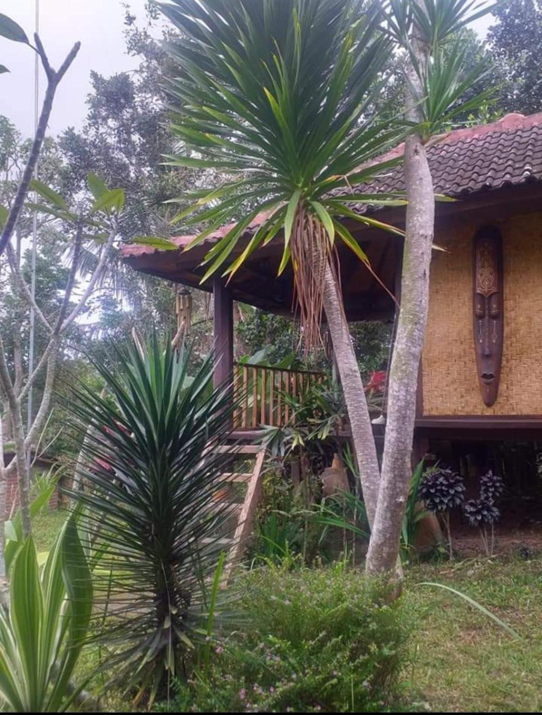 Sky Garden Lombok Διαμέρισμα Tetebatu Δωμάτιο φωτογραφία